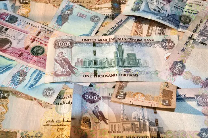 What are the institutions and tools concerned with confronting money laundering crimes in the UAE?